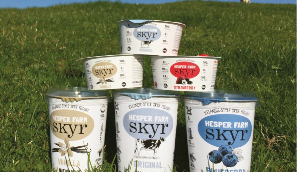 Liquidators appointed over Skyr yoghurt producer